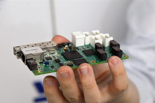 北京城市副中心東南生態門戶景觀正式開放，智慧化信息系統集成服務提升游園體驗